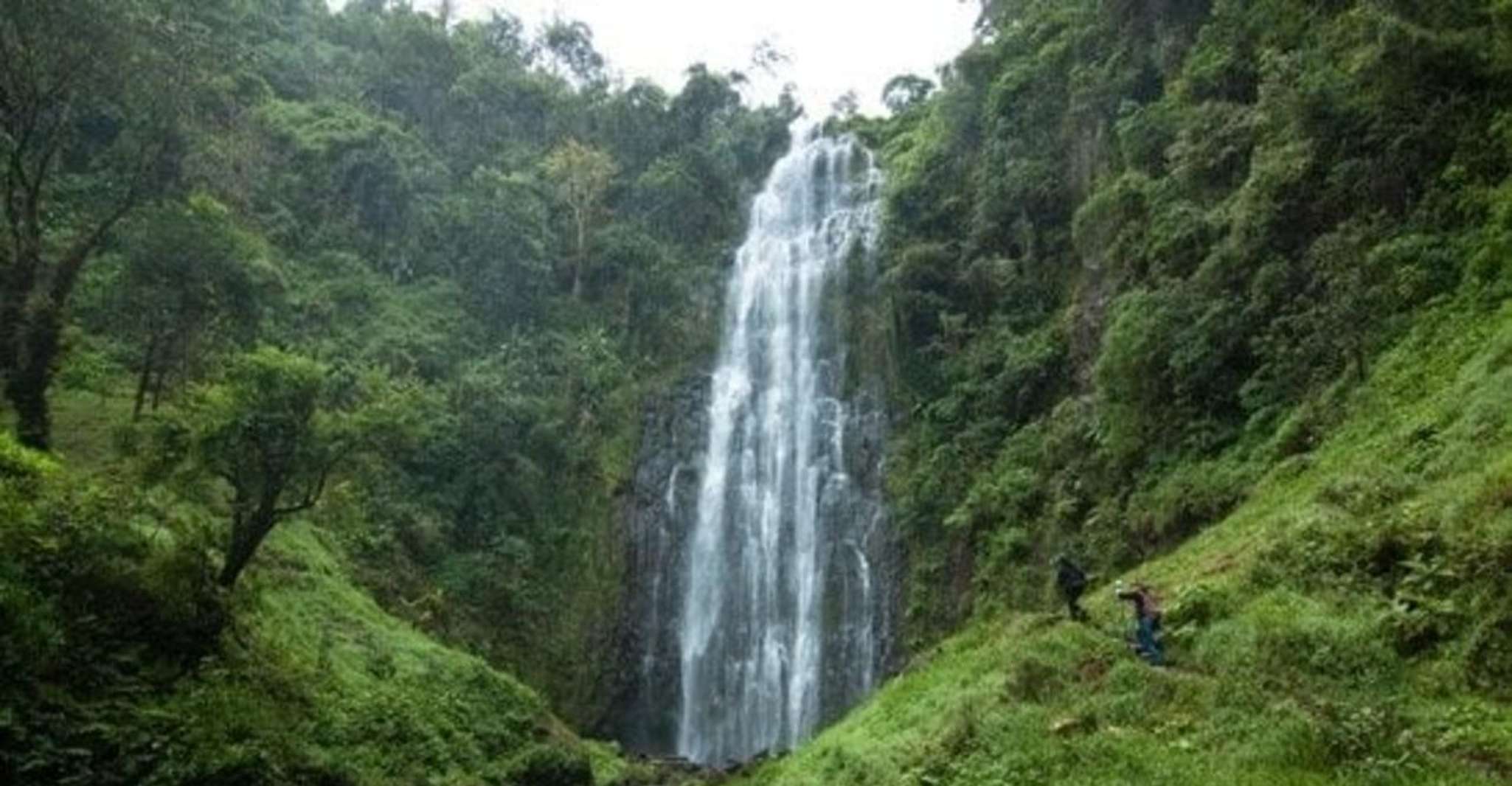 Materuni Waterfalls, Coffee, and Chemka Hotsprings Tour - Housity