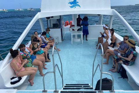 Private Catamaran with Open Bar and Dominican Meal