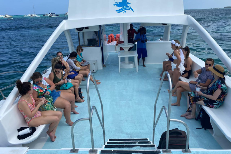 Private Catamaran with Open Bar and Dominican Meal