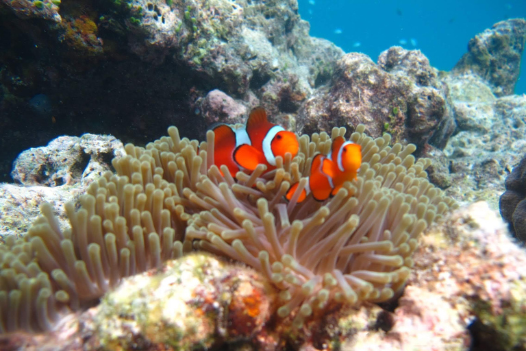 Phuket/Khao Lak: The Elite Similan Islands Yacht Experience Hotel pickup in Phuket