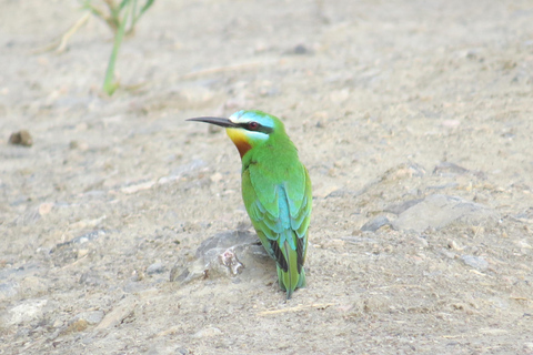 From Yerevan: Armenia 3-Day Bird Watching & Hiking Adventure