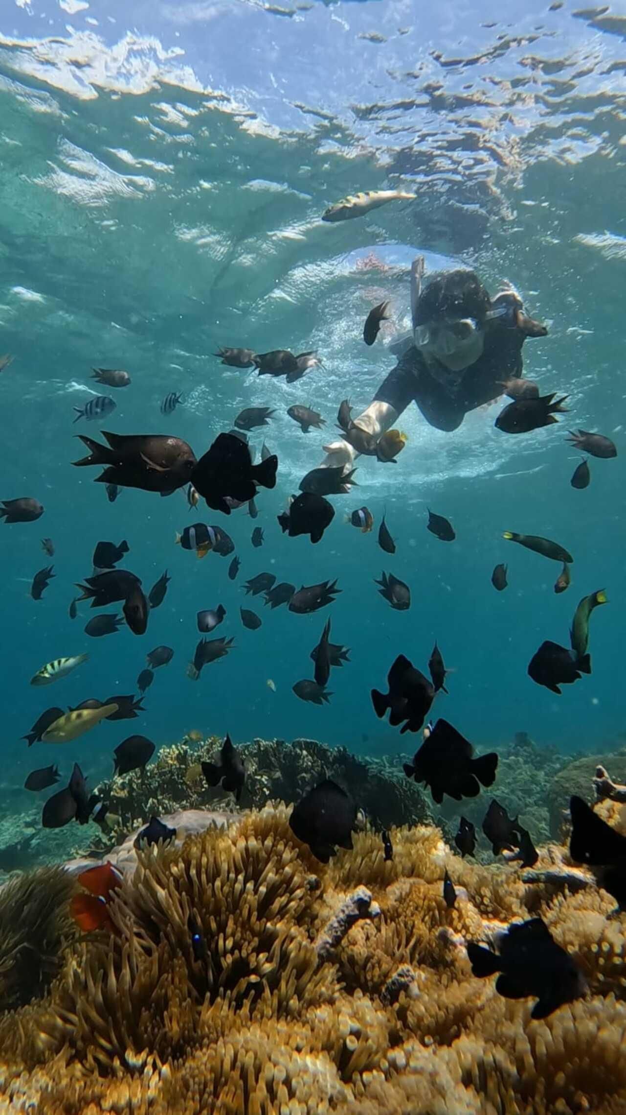 Lombok: Tour zu den Inseln Gili Nanggu, Tangkong, Sudak und Kedis