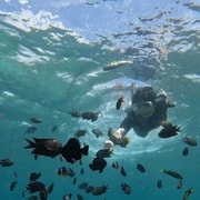 Lombok: Gili Nanggu, Tangkong, Sudak, and Kedis Islands Tour