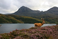 Scotland, Orkney and Northern Coast 5-Day Tour - Housity