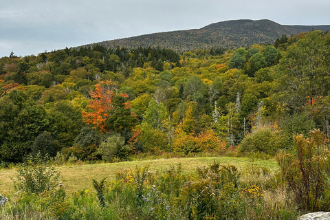 Boston: Wędrówka po Górach Białych - Mount Moosilauke