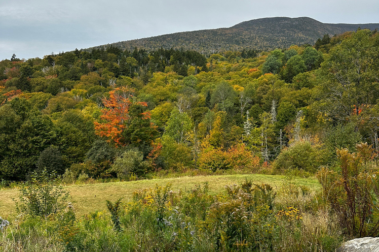 Boston: Wędrówka po Górach Białych - Mount Moosilauke