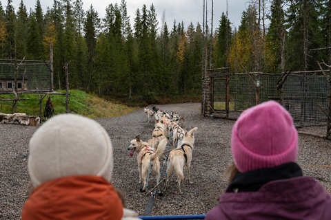 Rovaniemi: Meet Vasco Husky & Enjoy Sled Ride at Husky Farm ⭐ Winter Husky Adventure with Vasco | Jan 1 – Mar 31