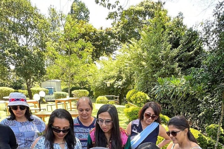 Nairobi: Purple Tea Farm Tour & Tasting Daytrip