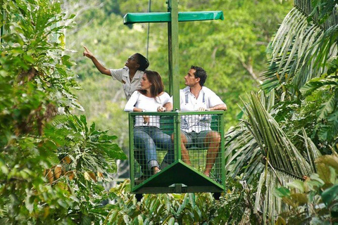 Panama City : Tramway aérien de Gamboa et visite du sanctuaire des paresseux