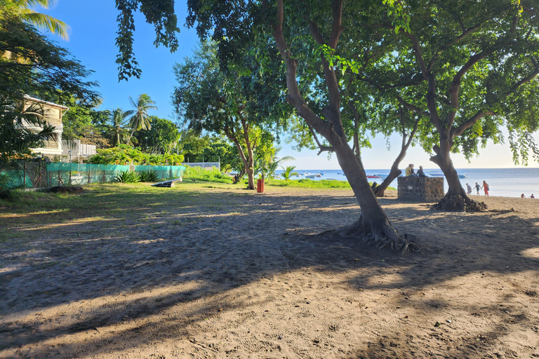 IleAuxBenitiers: Private tour CrystalRock, Lunch on island