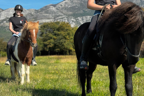 Dubrovnik: Horse Riding with local guide - beginner friendly
