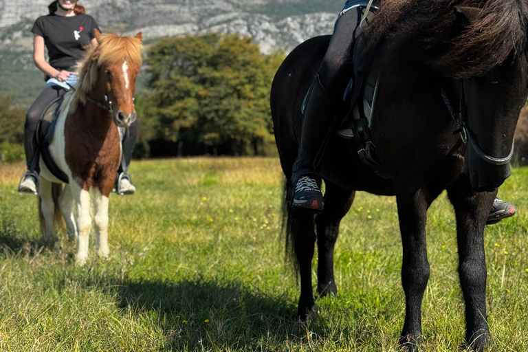 Dubrovnik: Horse Riding with local guide - beginner friendly