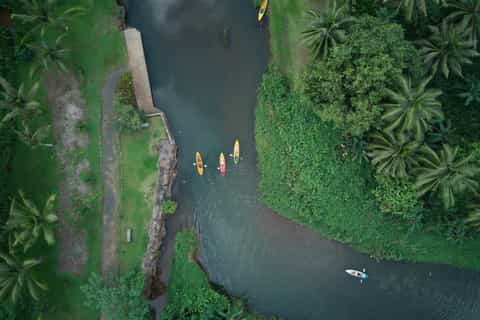 Rivière de Faaroa : Visite guidée en kayak.