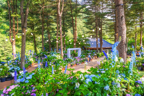 From Seoul: K-Drama Filming Tour: Garden of Morning Calm