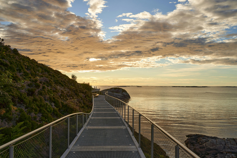 Sydney Coastal Highlights and Ferry Ride Half Day Tour