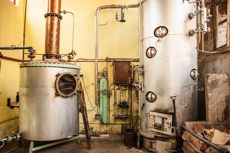 Elqui Valley Tour: Patrimonial and Natural