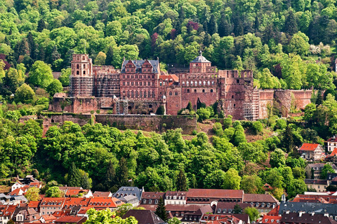 从法兰克福：海德堡、吕德斯海姆和莱茵河谷游船英语团体导览游