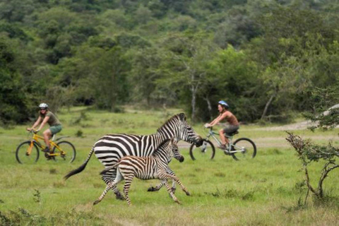 Kampala: Lake Mburo National Park 2-Day Cycling Safari