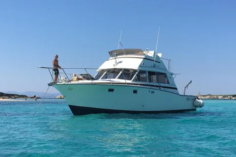 Santa Teresa: Speedboat tour around Lavezzi and Piana Island