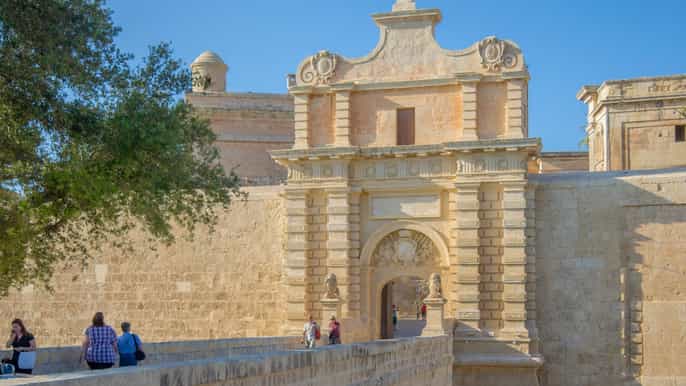 Fra Pozzallo: Heldags guidet tur til Malta med katamaran