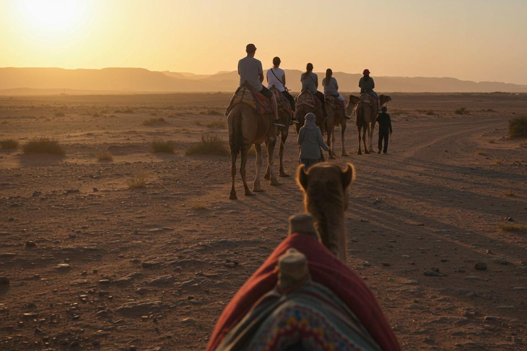 Marrakech: Agafay Wüste Quad &amp; Kamelreiten mit Dinner ShowMarrakesch: Quad- und Kamelritt in der Agafay-Wüste mit Dinner-Show