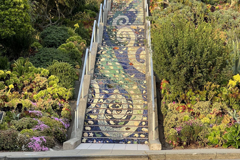 O lado selvagem de San Francisco, Ecotour com meteorologista