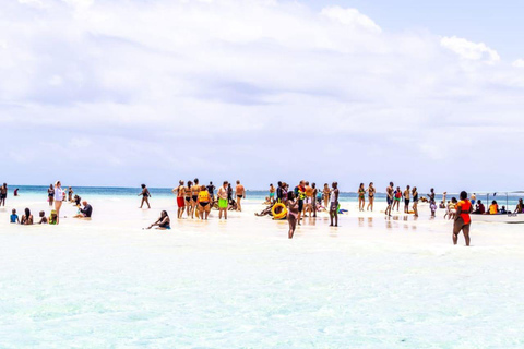 Ilha Wasini: Cruzeiro de Dhow para a Ilha Wasini com mergulho com snorkel