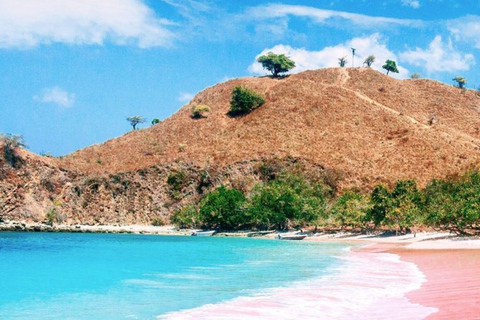 Lombok: Pink Beach & Gili Petelu Private Boat Tour Lombok: Pink Beach & Gili Petelu Private Boat Tour