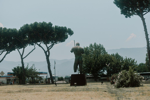 From Naples: Pompeii and Vesuvius Shuttle w/ Priority Ticket From Naples: Pompeii and Vesuvius with Skip the Line Ticket