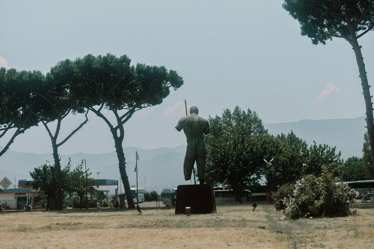 From Naples: Pompeii and Vesuvius Shuttle w/ Priority Ticket From Naples: Pompeii and Vesuvius with Skip the Line Ticket