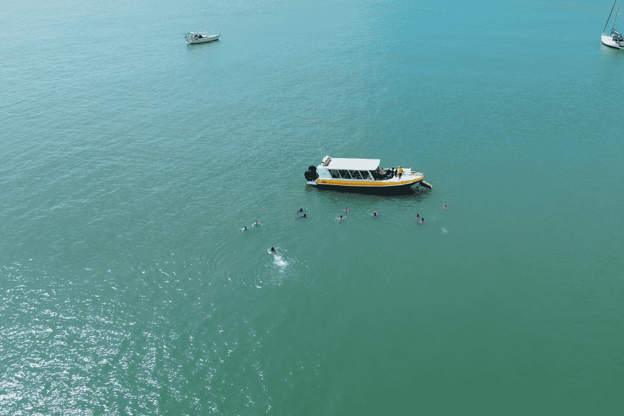 Magnetic Island: Abenteuer-Tour. Foto: GetYourGuide