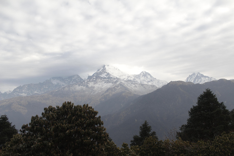 From Pokhara: 2-Day Short Poon Hill Trek