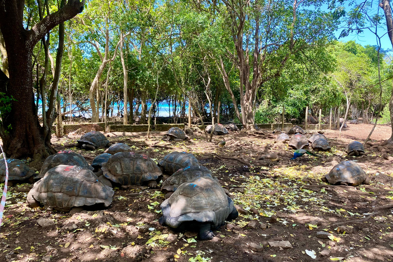 Zanzibar: Nakupenda Sandbank & Prison con Pranzo Incluso Honeymoon & Wedding Anniversary
