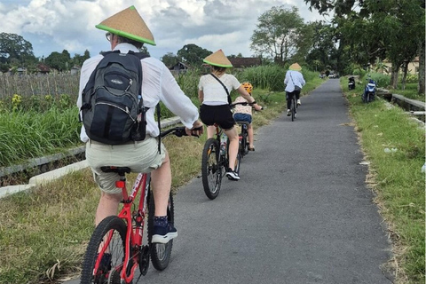 2-Hour Bicycle Tour Near Prambanan Temple With Transfer Without Transfer, Meet at Our Location