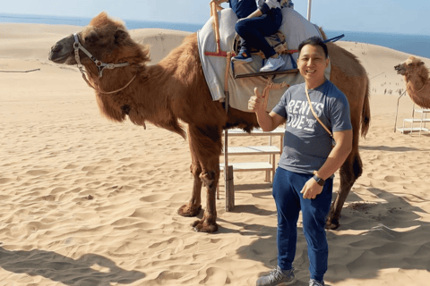 Tottori: Private Tour to Sand Dunes, Museum & Hakuto Coast