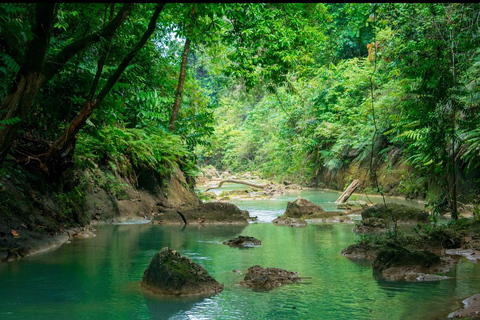 Bohol: Waterfall Hopping and Jungle Trek Adventure