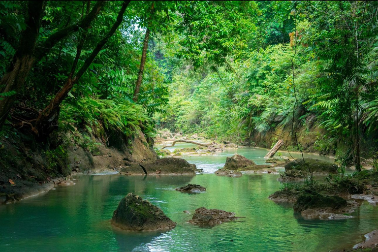 Bohol: Waterfall Hopping and Jungle Trek Adventure