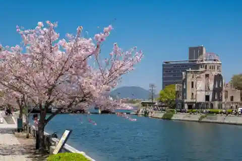 Private & Unique Hiroshima Cherry Blossom Sakura Experience