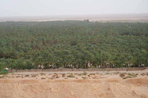 Tunis: South Tunisia Tour with Luxury Desert Bivouac Stay