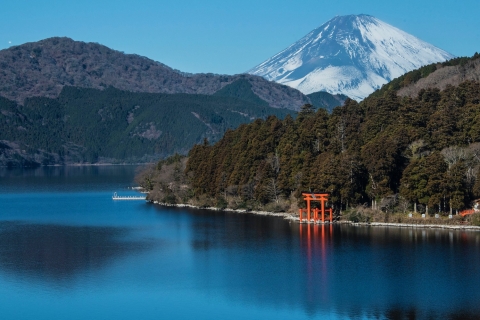 Prywatna całodniowa wycieczka z Tokio na górę Fuji i HakoneTokio na górę Fudżi i Hakone — tylko kierowca