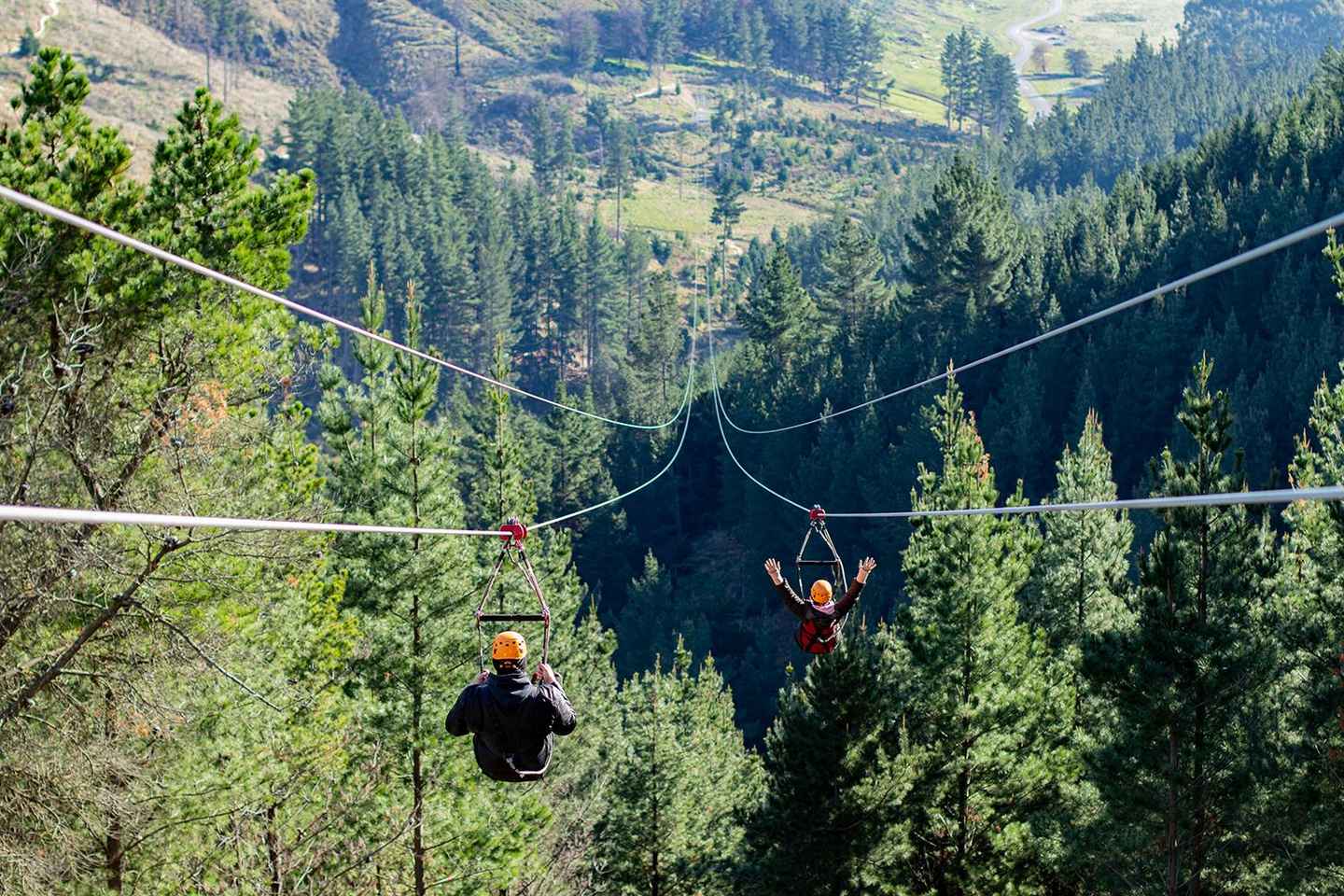 ZIPCHCH Single Zipline Long Ride - Fly NZ's Longest Zipline - ZIPCHCH Single Zipline Long Ride - Fly NZ's Longest Zipline