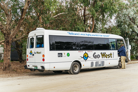 Desde Melbourne: Excursión ecológica a la fauna de Phillip IslandDesde Melbourne: ecotour de fauna a Phillip Island