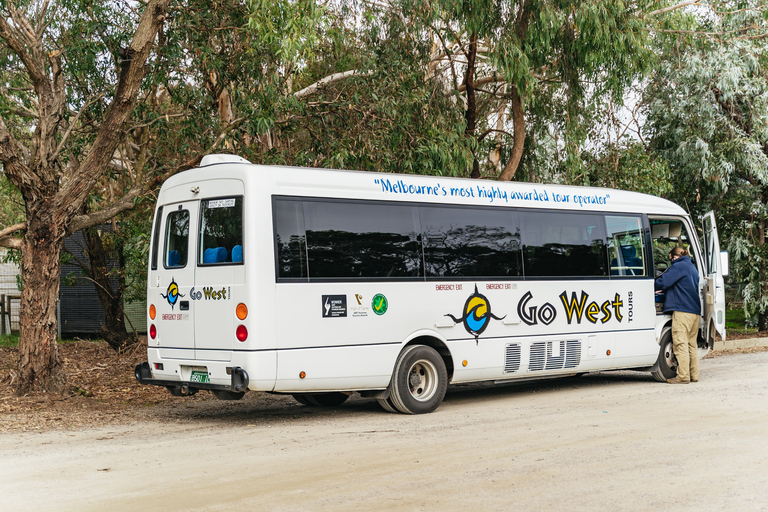 Från Melbourne: Phillip Island Eco Wildlife-turFrån Melbourne: Ekologisk utflykt till Phillip Island