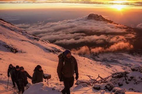 Trekking na Kilimandżaro 5 dni szlakiem Marangu5-dniowy trekking na Kilimandżaro - szlak Marangu