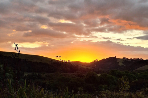 Auckland: Stargazing, Meteor Showers and Cosmic Events Tour