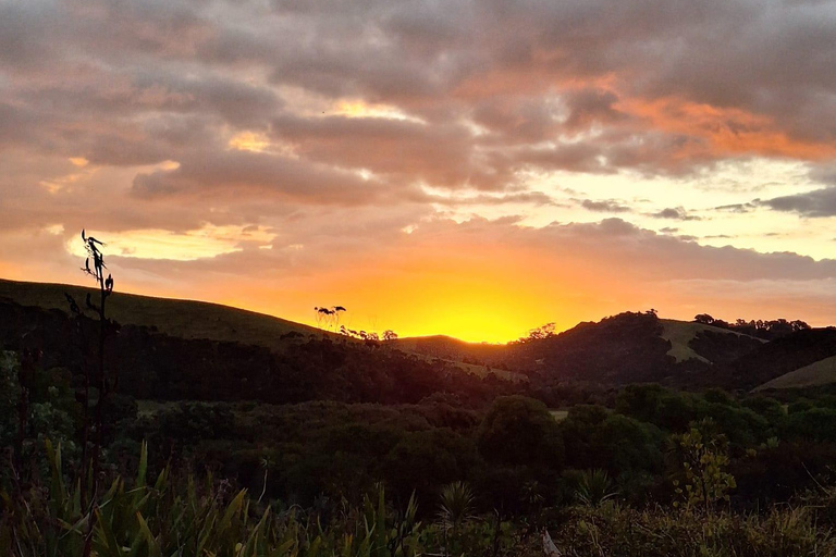 Auckland: Stargazing, Meteor Showers and Cosmic Events Tour