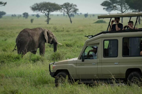 Safari de 3 días en un albergue privado desde Zanzíbar con vuelos