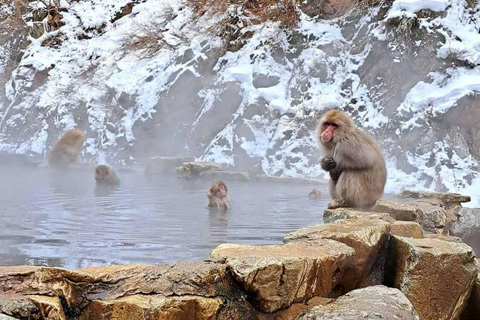 Tokyo: Nagano Day Trip with Zen Calligraphy & Tea Ceremony