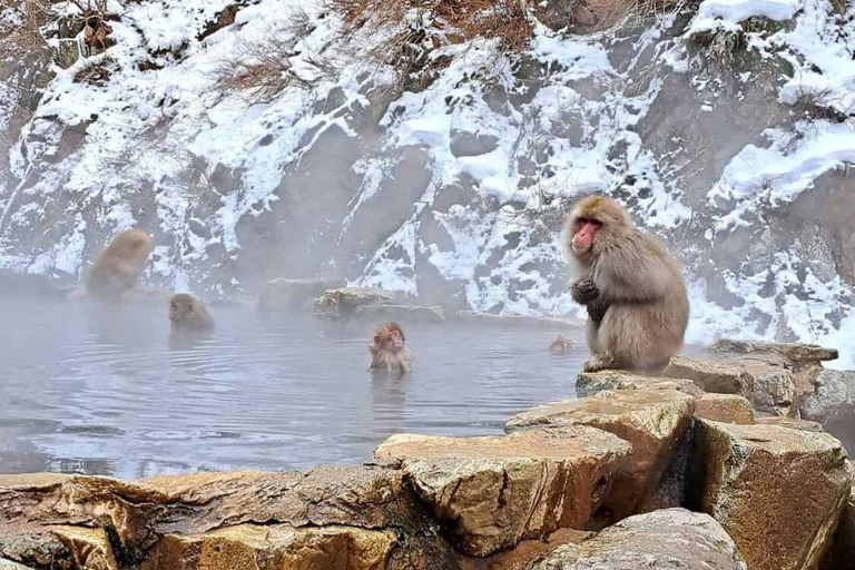 Tokyo: Nagano Day Trip with Zen Calligraphy & Tea Ceremony