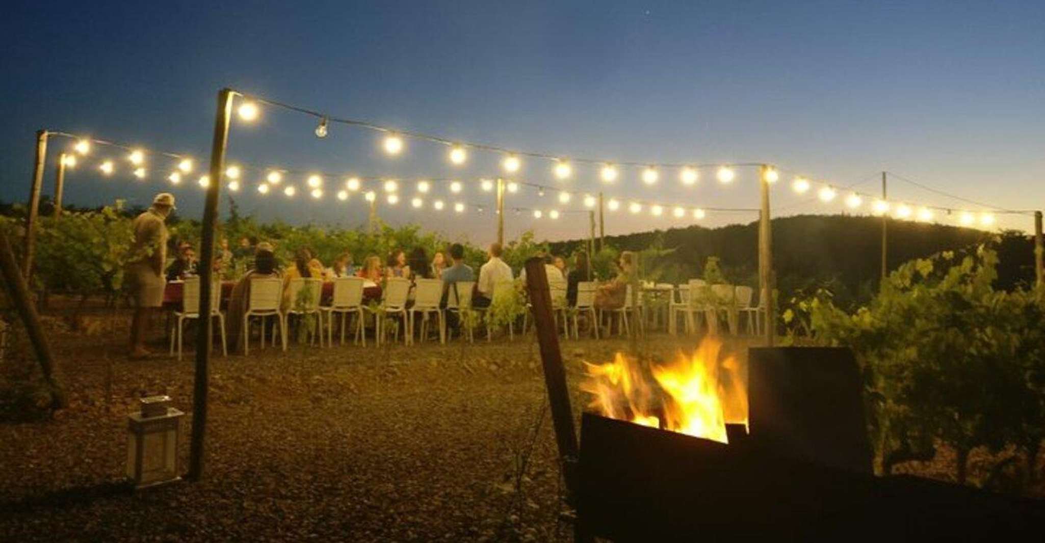 Florence: Chianti Vineyards Tour with Wine Tasting & Dinner photo 6